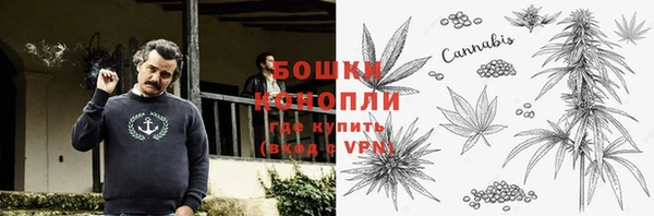 метадон Алексин