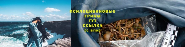 дурь Алексеевка