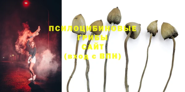 дурь Алексеевка