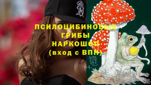 дурь Алексеевка