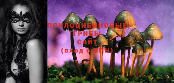дурь Алексеевка